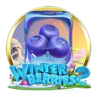 Winterberries 2