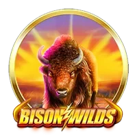 Bison Wilds