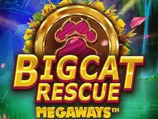 Big Cat Rescue Megaways