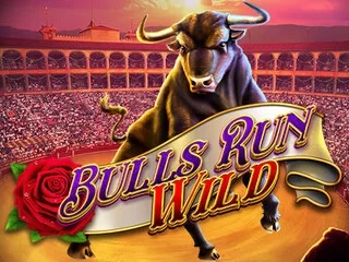 Bulls Run Wild