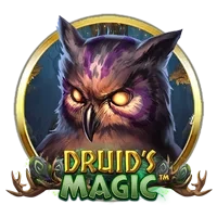 Druid’s Magic