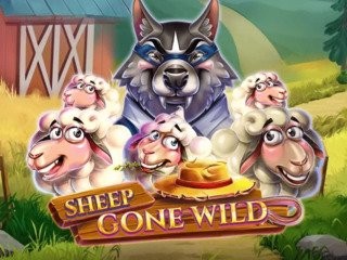 Sheep Gone Wild