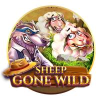 Sheep Gone Wild