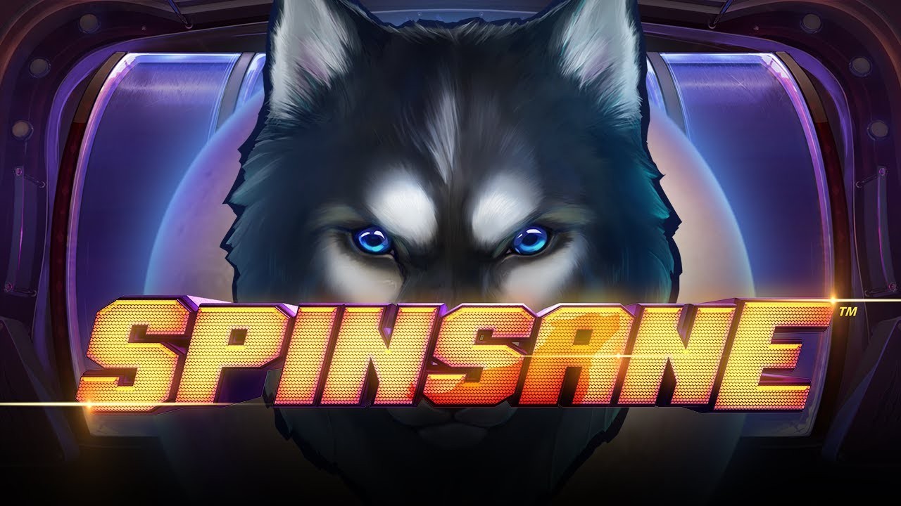 Spinsane™