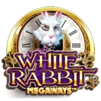 White Rabbit