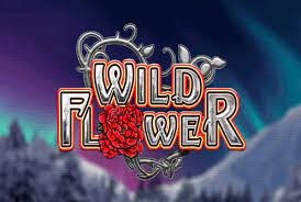 Wild Flower