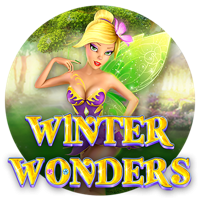 Winter Wonders