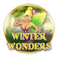 Winter Wonders