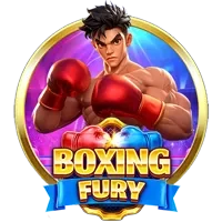 Boxing Fury