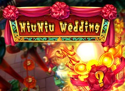 NiuNiu Wedding