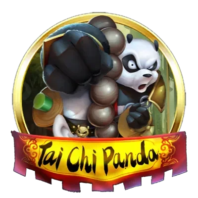 Tai Chi Panda