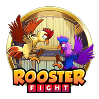 Rooster Fight