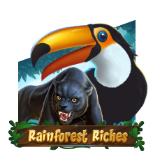 Rainforest Riches