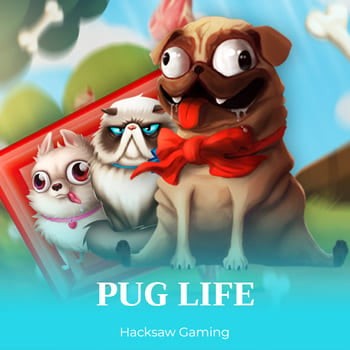 Pug Life