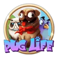 Pug Life