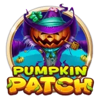 Pumpkin Patch