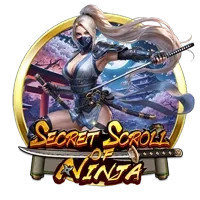 Secret Scroll Of Ninja
