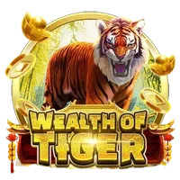 Wealth of Tiger