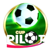 Pilot Cup