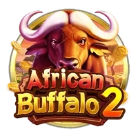 African Buffalo2