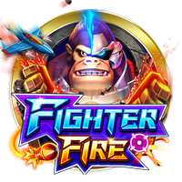 Fighter Fire