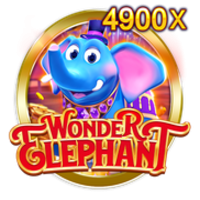 Wonder Elephant