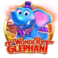 Wonder Elephant
