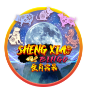 Sheng Xiao Bingo