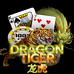 Dragon Tiger