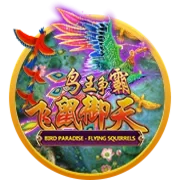 Bird Paradise
