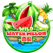 Wild Watermelon