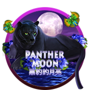 Panther Moon