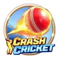 Crash Cricket