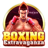 Boxing Extravaganza