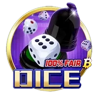 Dice