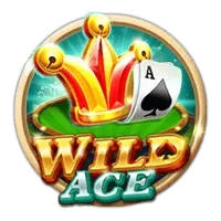 Wild Ace