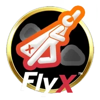 FlyX