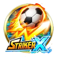 StrikerX