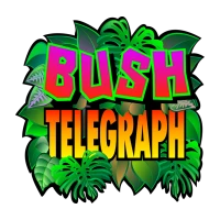 Bush Telegraph