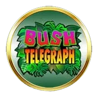 Bush Telegraph