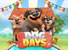 Dog Days