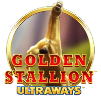 Golden Stallion