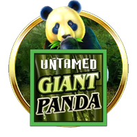 Untamed - Giant Panda