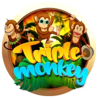 Triple Monkey