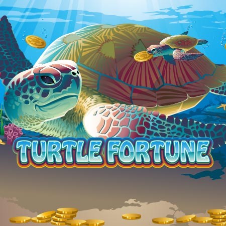 Turtle Fortune