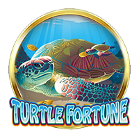 Turtle Fortune