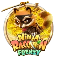 Ninja Raccoon Frenzy