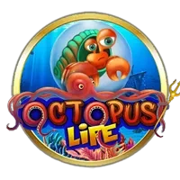 Octopus Life