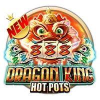 Dragon King Hot Pots