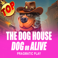 The Dog House – Dog or Alive